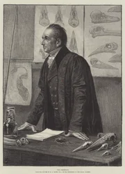 The Professor
